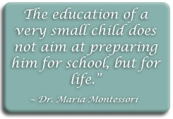 Diamante Montessori Glen Ellyn