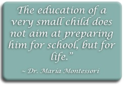 Diamante Montessori Glen Ellyn